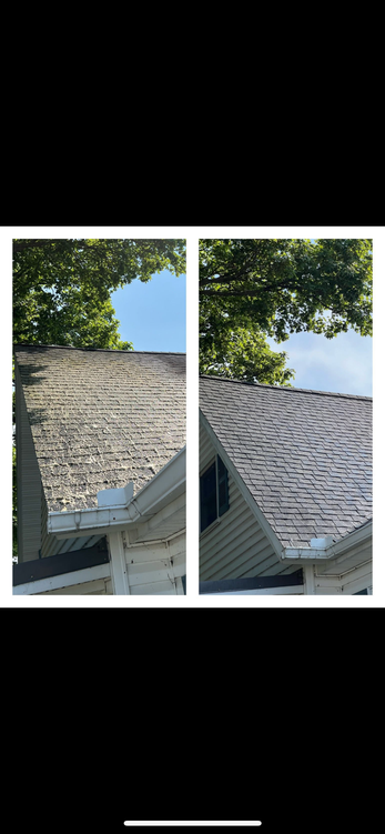 Roof Cleaning in Norwalk, OH